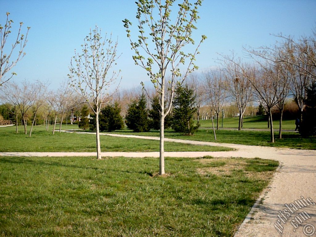 View of Botanical Park in Bursa city of Turkey.
